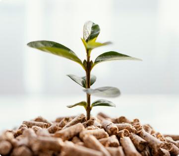 Fertilizers industry